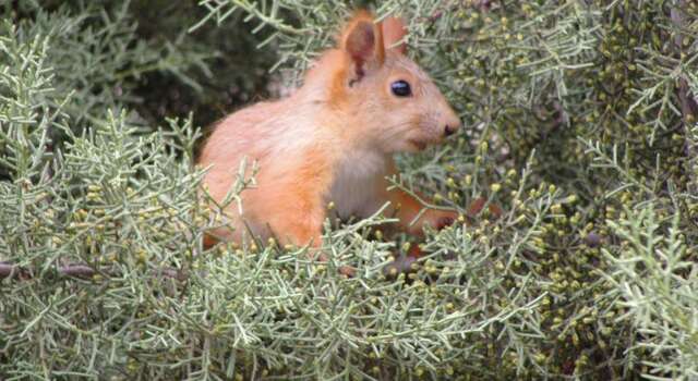 Гостевой дом Вилла ОРС Севастополь-8