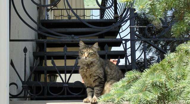 Гостевой дом Вилла ОРС Севастополь-17